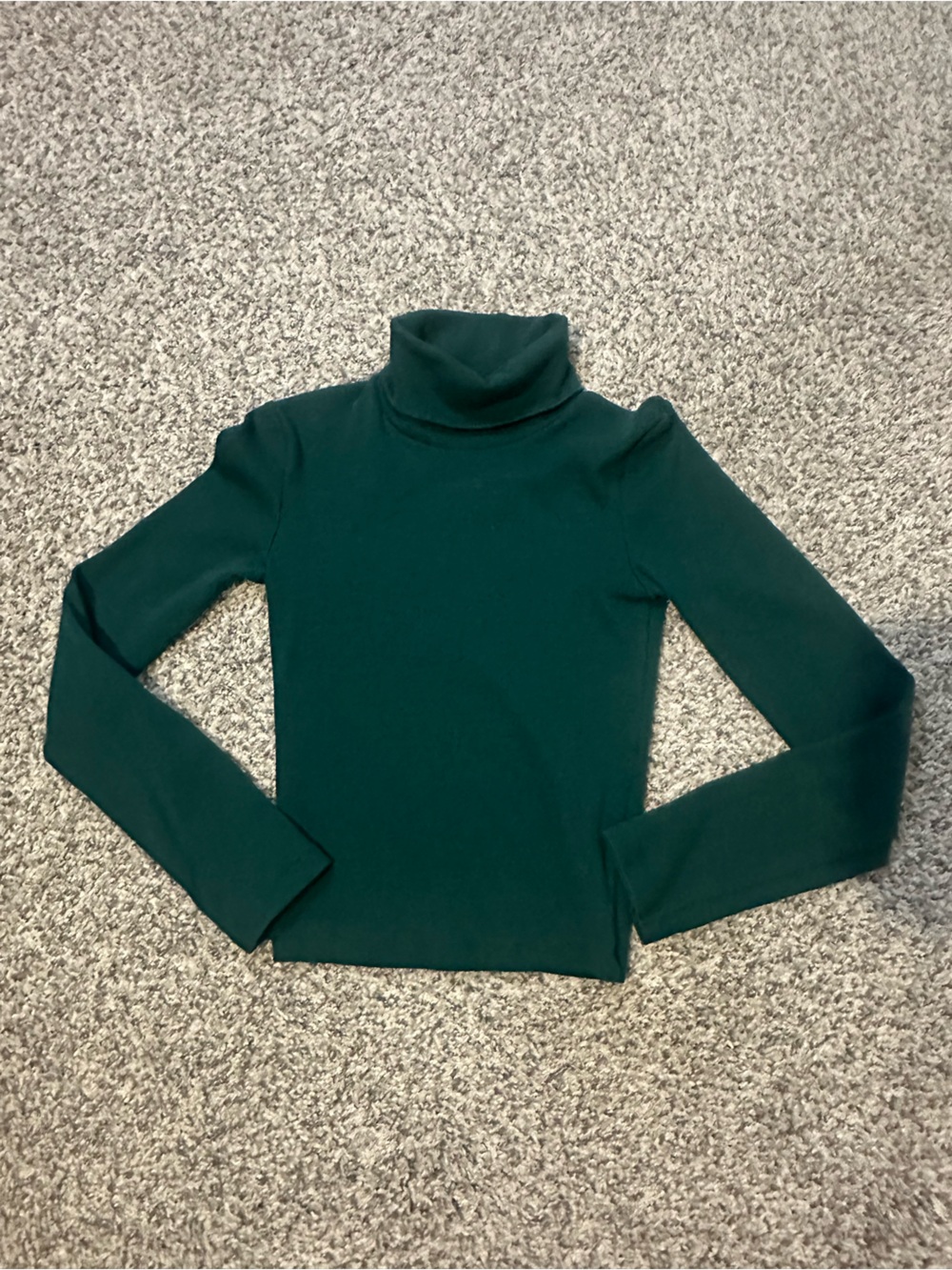 Zara Dark Green Long Sleeve Turtleneck Top